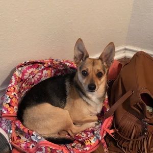 Meet your Posher, Susan